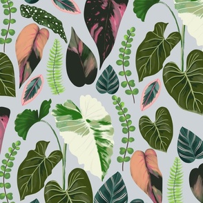 Tropical Leaves