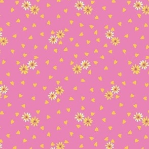 Bart's Garden daisy field pink-01