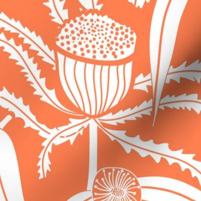 Banksia Floral Coral Orange Extra Large
