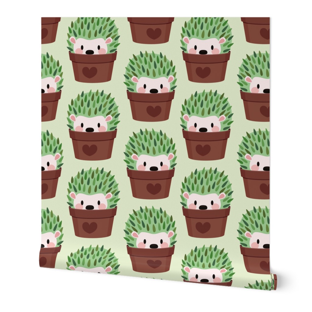 Smaller Hedgehogs disguised as cactuses