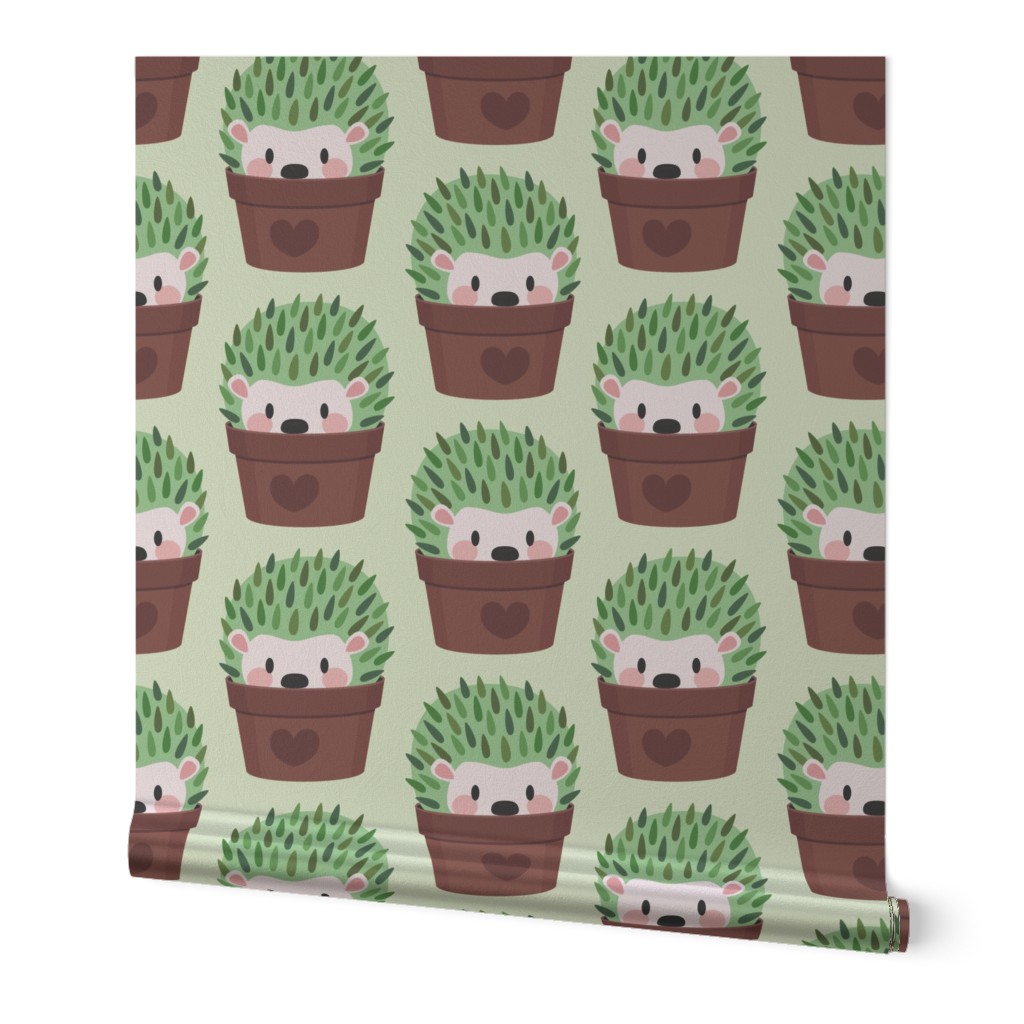 Smaller Hedgehogs disguised as cactuses