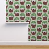 Smaller Hedgehogs disguised as cactuses