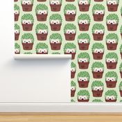 Smaller Hedgehogs disguised as cactuses