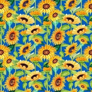 Sunflowers on blue, National Flower of Ukraine