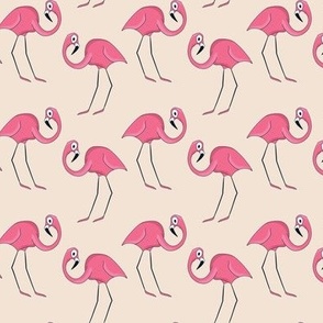 funny flamingo