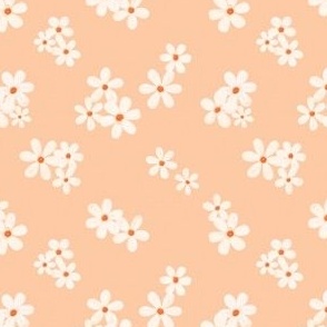 Daisies In Peach 4x4