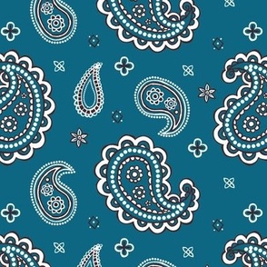 Western paisley dark turquoise teal