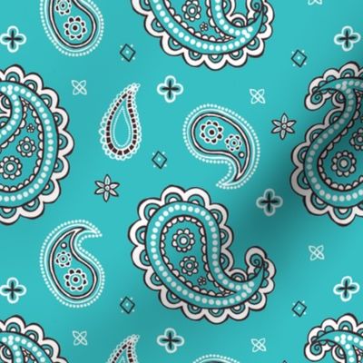 Western paisley turquoise