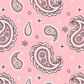 Western paisley blush pink