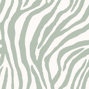 zebra stripe \\ sage green - jumbo