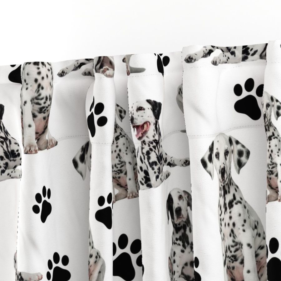 Dalmatian Dogs Black and White 