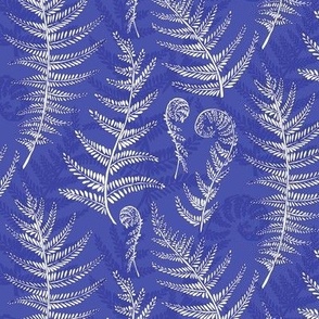 fern leaves violet