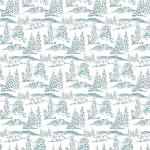 snow leopard toile pale teal6k