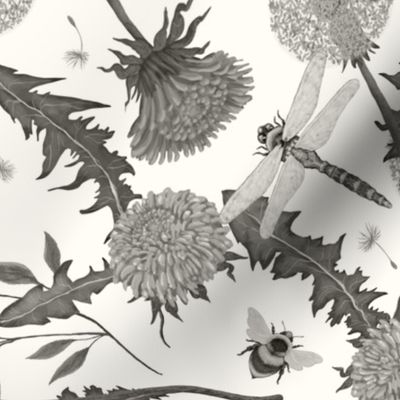 Dandelions and Dragonflies in monochromatic on warm white background