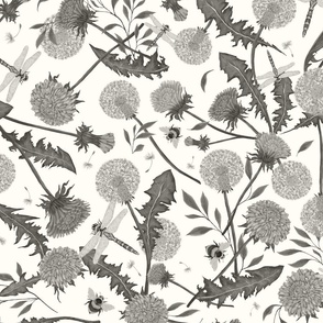 Dandelions and Dragonflies in monochromatic on warm white background