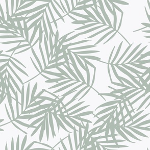 Large Tropical Fronds - Sage Green - Palm Leaf - Palm Leaves - Palm Tree - Caribbean - Minimalist - Nature