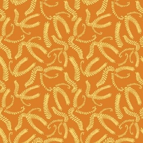 Ferns: Tangerine