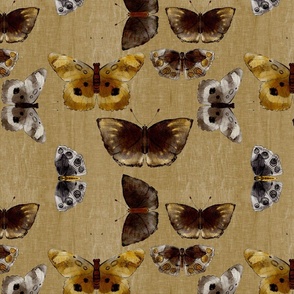 Brown Silk Butterflies- on gold background (large scale)