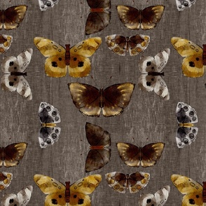 Brown Silk Butterflies-on gray (large scale)