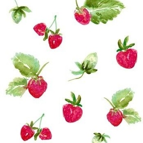Strawberry Fruit - Strawberries - Strawberry Bedding 