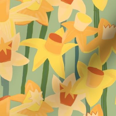 daffodils 