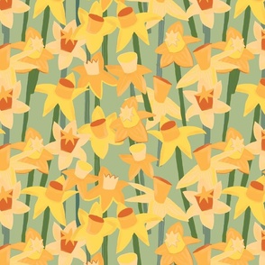 daffodils 