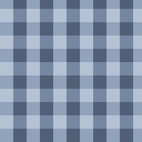 Dee Dee Check: Dusty Blue Small Check