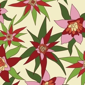 Bromeliad Blossoms: Burgundy & Pink