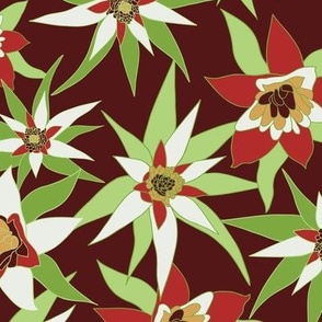 Bromeliad Blossoms: Leafy Green & Cream