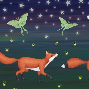 foxes, fireflies, luna moths, and northern saw whet owls at night with stars 300ppi