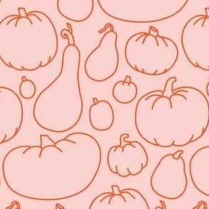 illustrated pumpkins - pink + orange