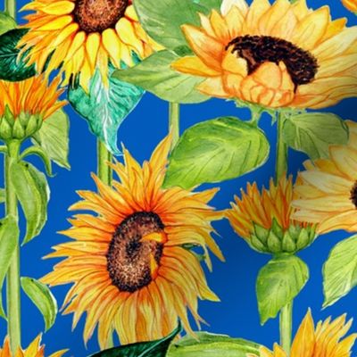 Sunflowers on blue for Ukraine , national flower