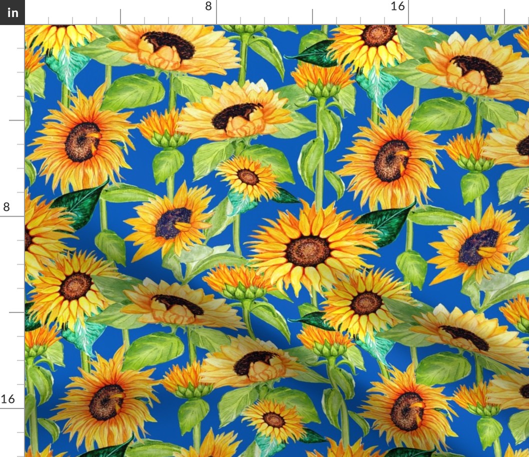 Sunflowers on blue for Ukraine , national flower