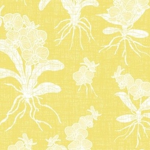 White Orchids on Buttercup Texture