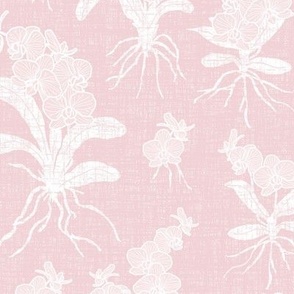 White Orchids on Cotton Candy Texture