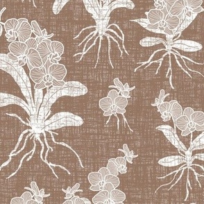 White Orchids on Mocha Texture