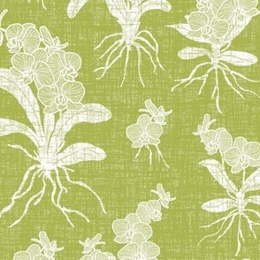 White Orchids on Olive Green Texture