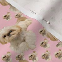 Shihtzu Diamonds in Pink - abt 2"