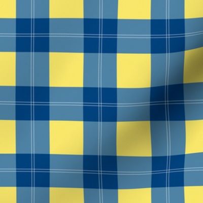 Ukraine donation tartan design blue yellow gingham