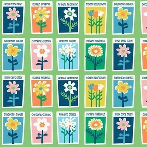 Seed Packets ~ on green