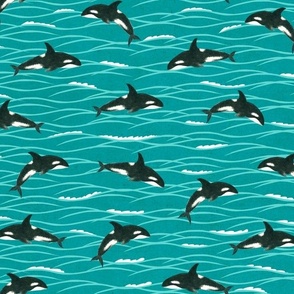 Killer whale {small}