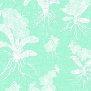 White Orchids on Mint Texture