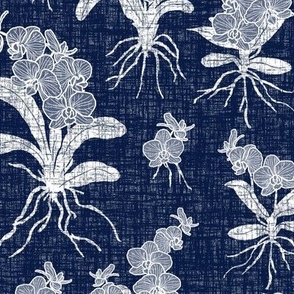 White Orchids on Midnight Blue Texture