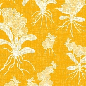 White Orchids on Marigold Texture