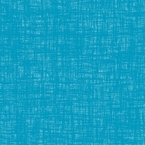 Caribbean Blue Woven Grunge Texture