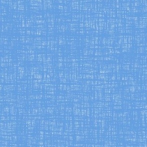 Cornflower Blue Woven Grunge Texture