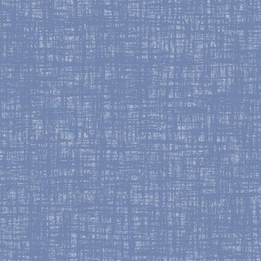 Dusty Blue Woven Grunge Texture