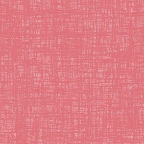 Watermelon Woven Grunge Texture