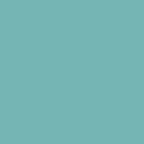 Kingfisher Turquoise Block Colour 40 75B5B3