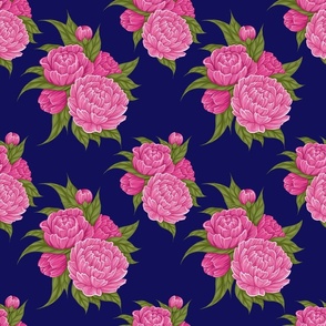 Peonies on blue background
